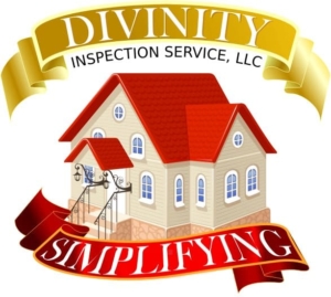 Divinity Inspection Service