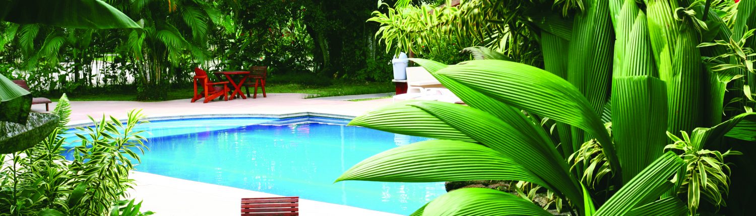 Tropical backyard with pool